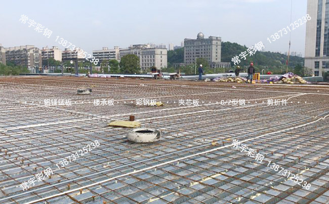 600���_�ژǳа尸��֮�Lɳ�����_(d��)