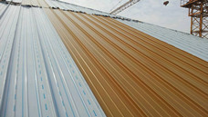 ֱ���i߅���b�����(xi��ng)Ŀ_�����L(zh��ng)ɳ���t(y��)��һ