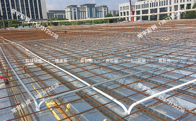 �Lɳ������ø������ؘǳа尸��